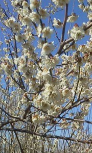 P2012_0407_085005