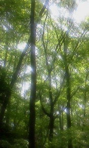 P2012_0526_1019454