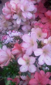 P2012_0607_1133528